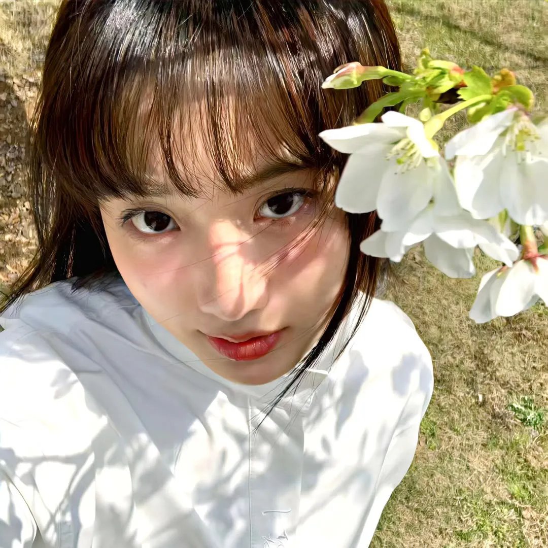 桃花红 梨花白