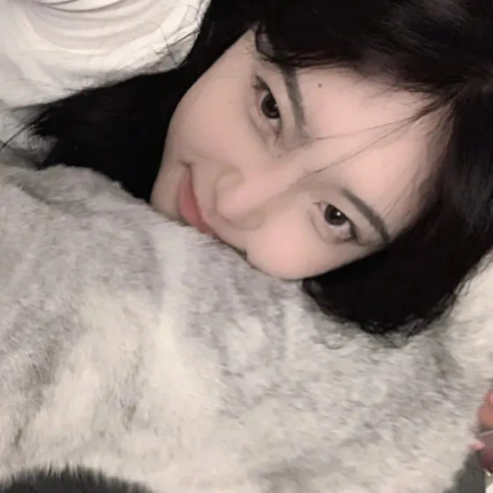 查莉成长日记：圣诞假期
